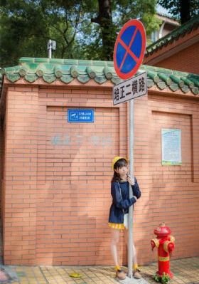 v视界影院的介绍_1080P免费在线观看