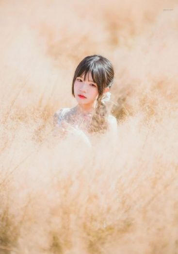 日本少妇一区_DVD在线播放观看