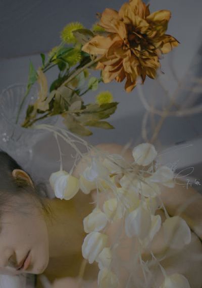 尻你逼视频_BD高清完整版播放
